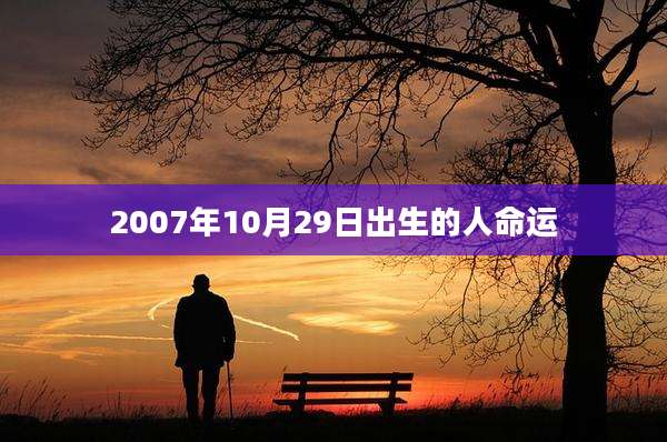 2007年10月29日出生的人命运