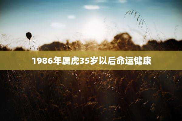 1986年属虎35岁以后命运健康