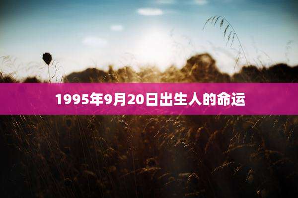 1995年9月20日出生人的命运