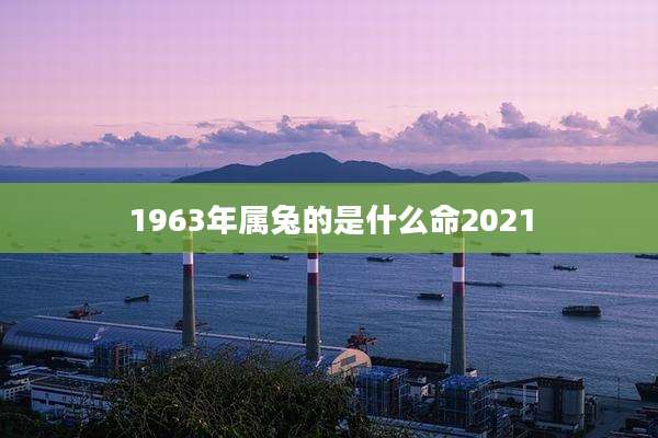 1963年属兔的是什么命2021