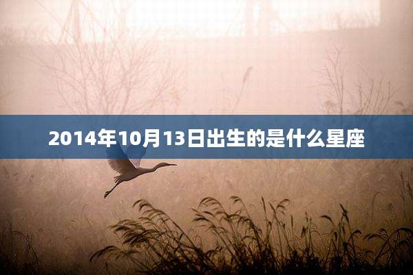 2014年10月13日出生的是什么星座