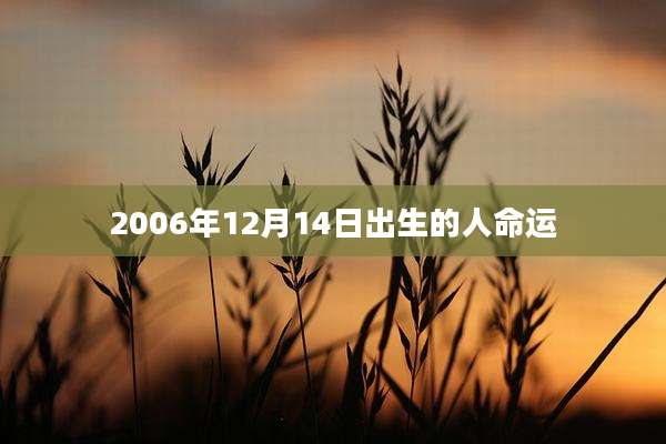 2006年12月14日出生的人命运
