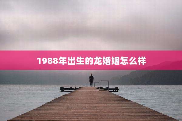 1988年出生的龙婚姻怎么样