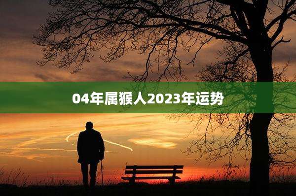 04年属猴人2023年运势