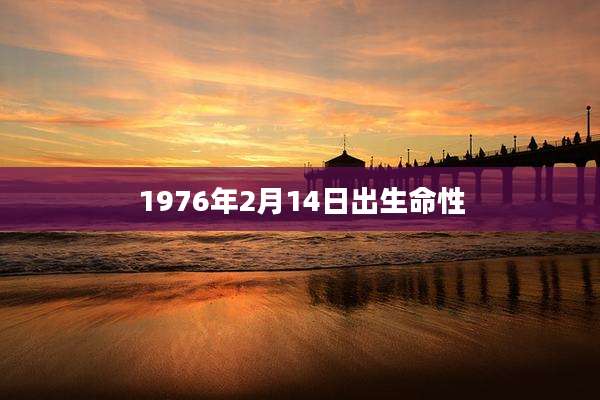 1976年2月14日出生命性