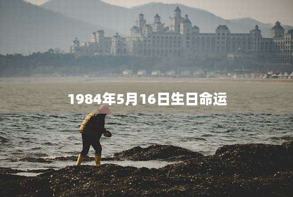 1984年5月16日生日命运