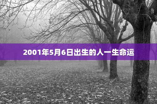 2001年5月6日出生的人一生命运