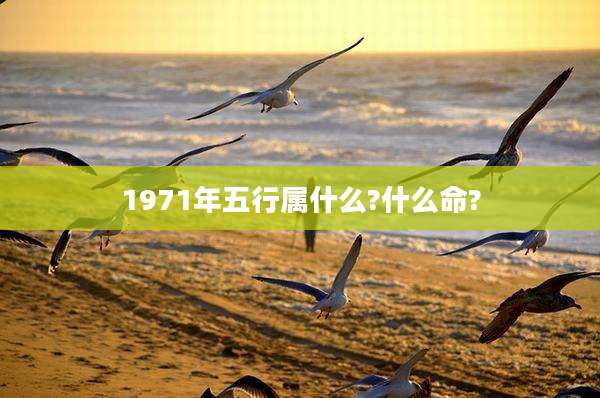 1971年五行属什么?什么命?