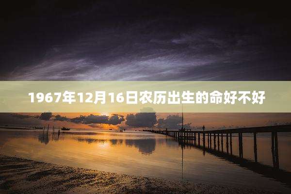 1967年12月16日农历出生的命好不好