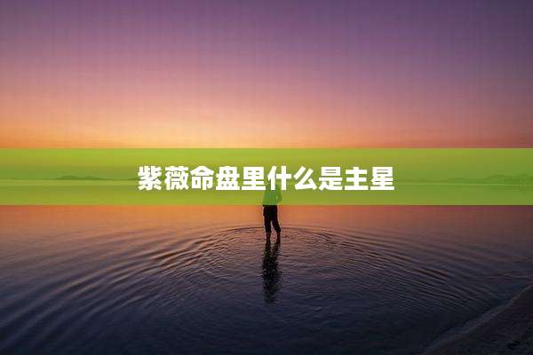 紫薇命盘里什么是主星