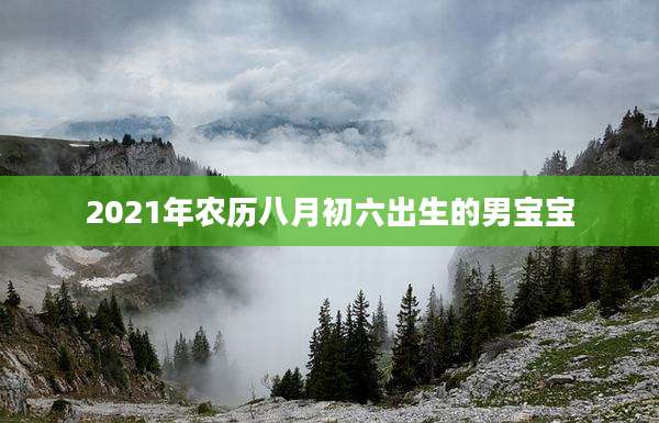 2021年农历八月初六出生的男宝宝