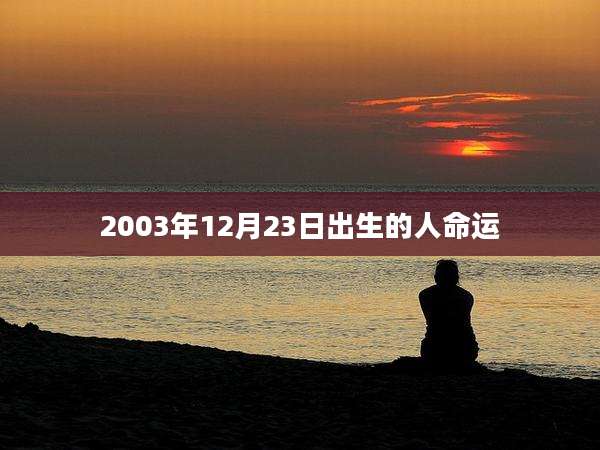 2003年12月23日出生的人命运