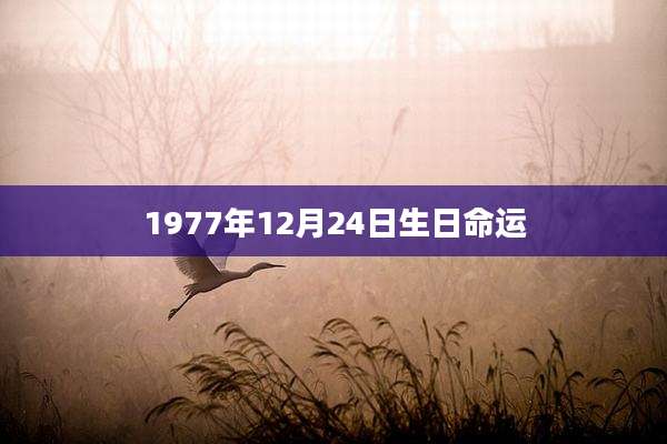 1977年12月24日生日命运