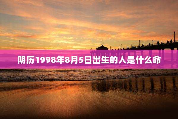 阴历1998年8月5日出生的人是什么命