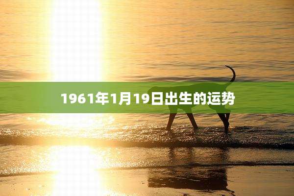 1961年1月19日出生的运势