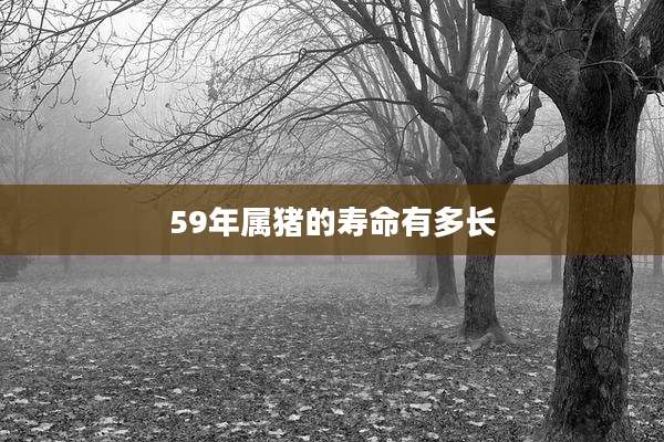 59年属猪的寿命有多长
