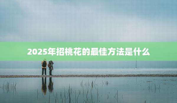 2025年招桃花的最佳方法是什么
