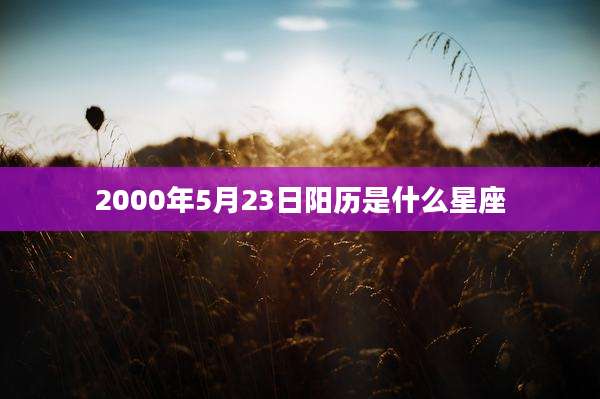 2000年5月23日阳历是什么星座