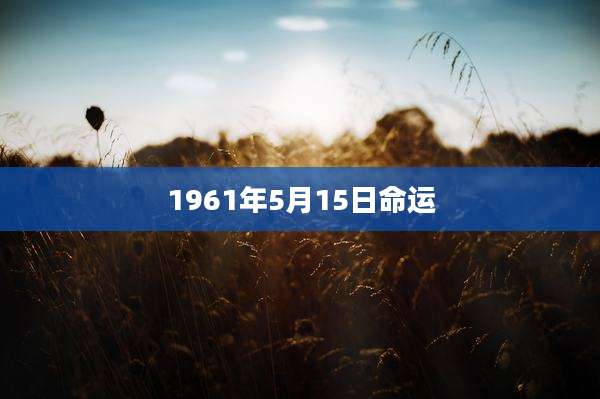 1961年5月15日命运
