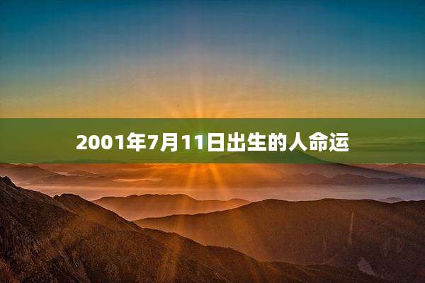 2001年7月11日出生的人命运