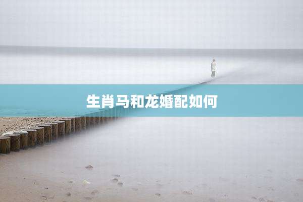 生肖马和龙婚配如何