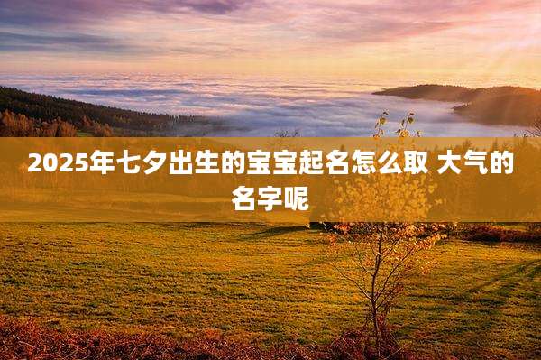 2025年七夕出生的宝宝起名怎么取 大气的名字呢