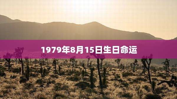 1979年8月15日生日命运