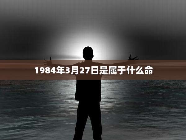 1984年3月27日是属于什么命