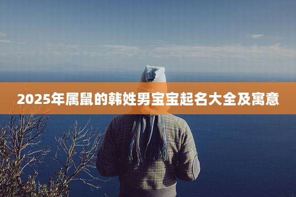 2025年属鼠的韩姓男宝宝起名大全及寓意