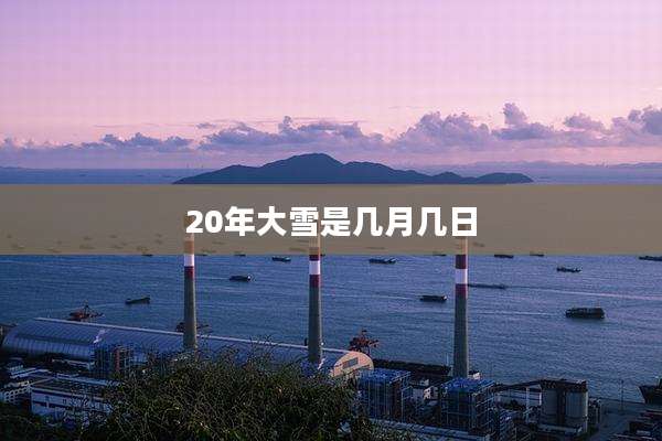 20年大雪是几月几日