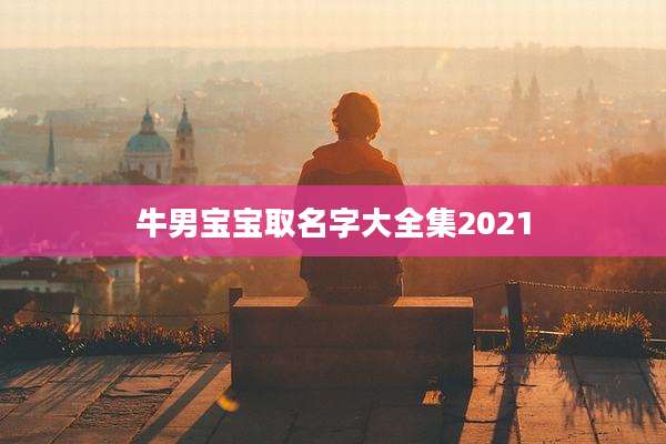 牛男宝宝取名字大全集2021