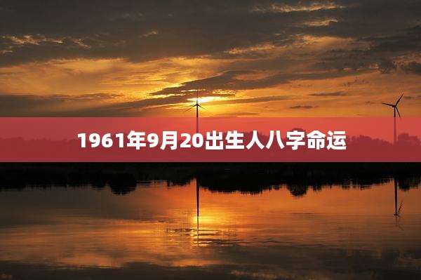 1961年9月20出生人八字命运