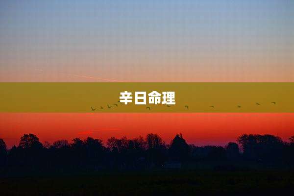辛日命理
