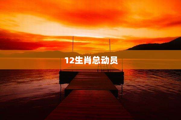 12生肖总动员