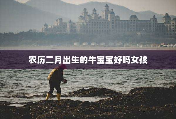 农历二月出生的牛宝宝好吗女孩