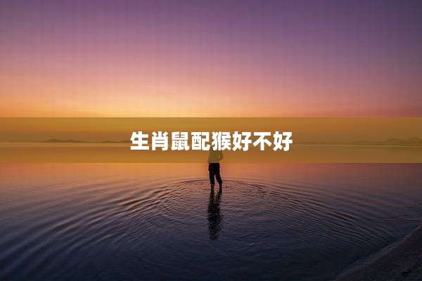 生肖鼠配猴好不好