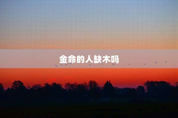 金命的人缺木吗