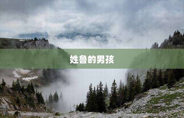 姓鲁的男孩