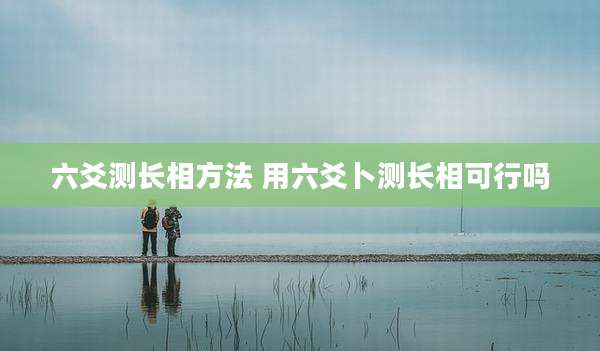 六爻测长相方法 用六爻卜测长相可行吗