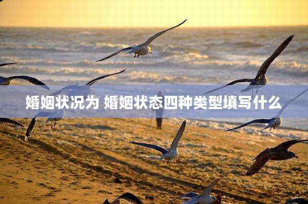 婚姻状况为 婚姻状态四种类型填写什么
