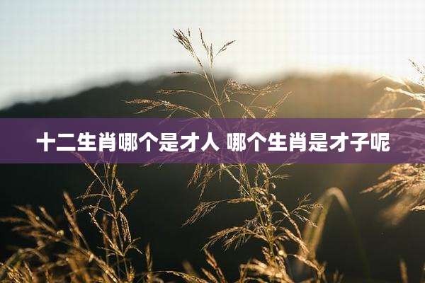 十二生肖哪个是才人 哪个生肖是才子呢