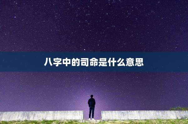 八字中的司命是什么意思