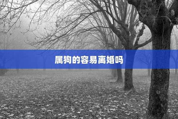 属狗的容易离婚吗