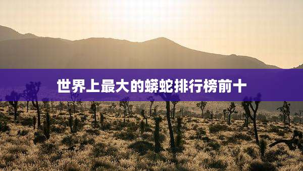 世界上最大的蟒蛇排行榜前十