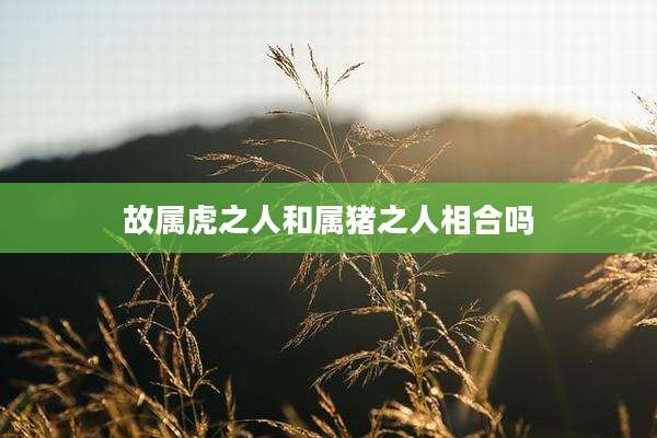 故属虎之人和属猪之人相合吗