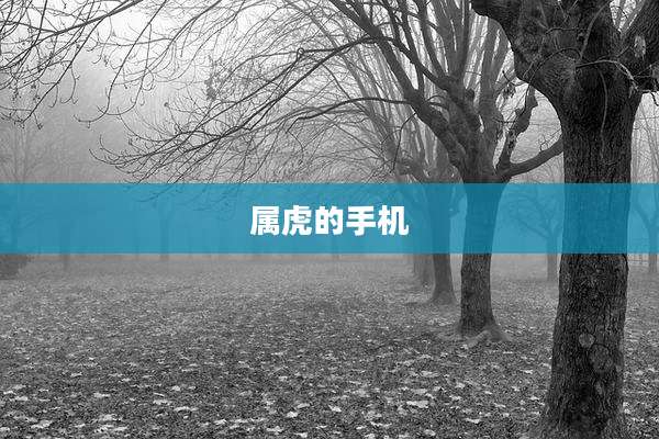 属虎的手机