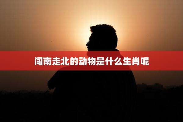 闯南走北的动物是什么生肖呢
