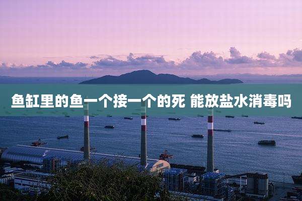 鱼缸里的鱼一个接一个的死 能放盐水消毒吗