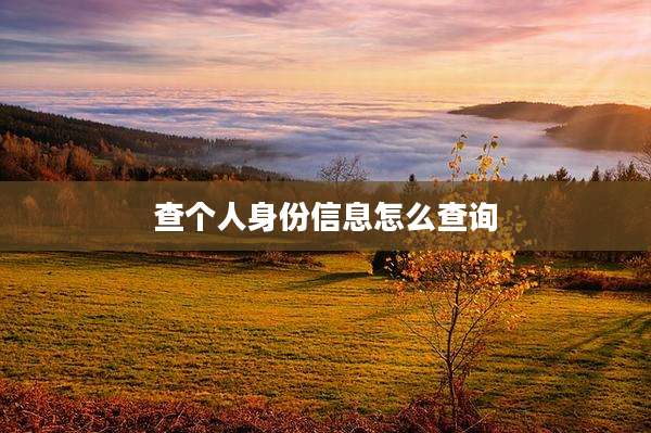 查个人身份信息怎么查询