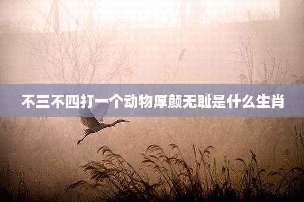 不三不四打一个动物厚颜***是什么生肖